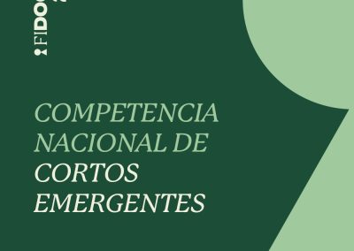 COMPETENCIA NACIONAL DE CORTOS EMERGENTES #1 | FIDOCS 29