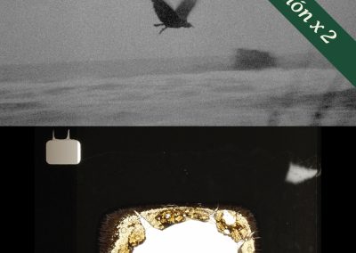 FIDOCS EXPANDIDO | FIDOCS 29