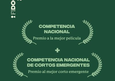 GANADORA COMPETENCIA NACIONAL + CORTO EMERGENTE | FIDOCS 29