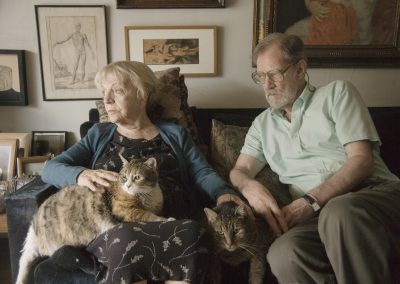 Función Especial | Gatos Viejos